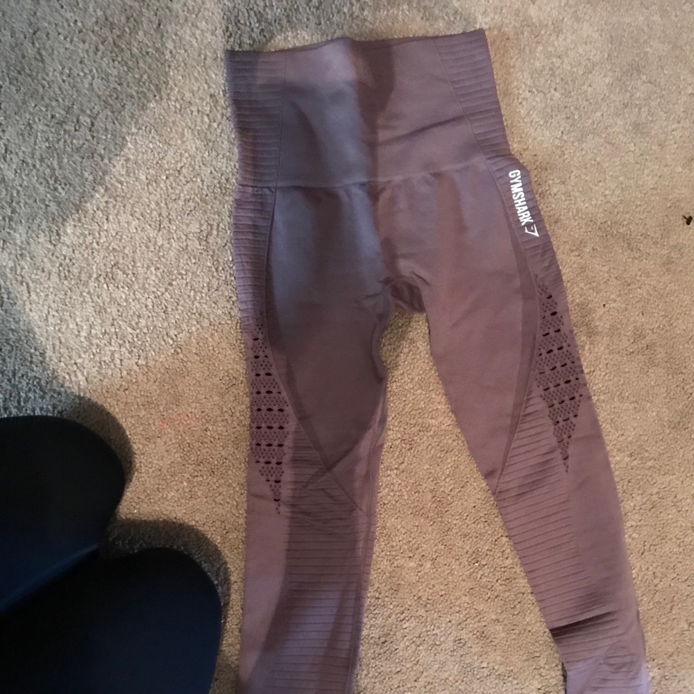 Gym shark leggings